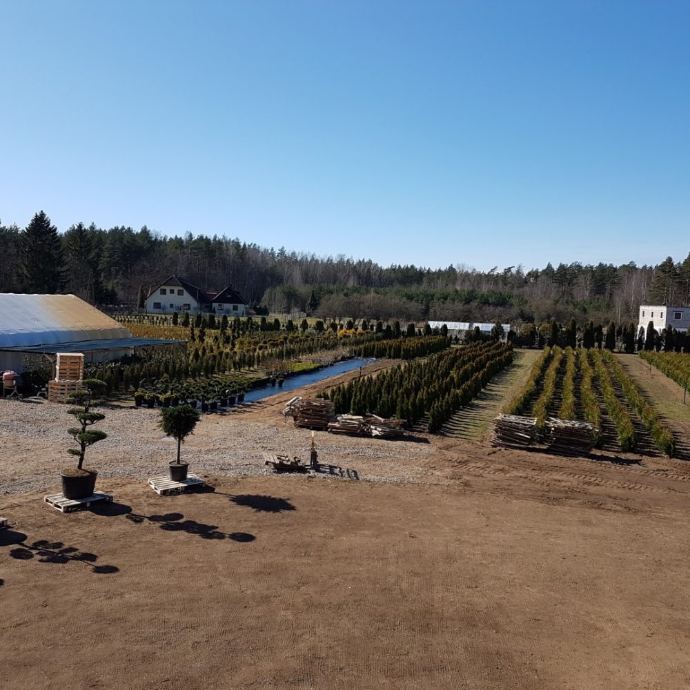 Stādaudzētava | Stādaudzētava